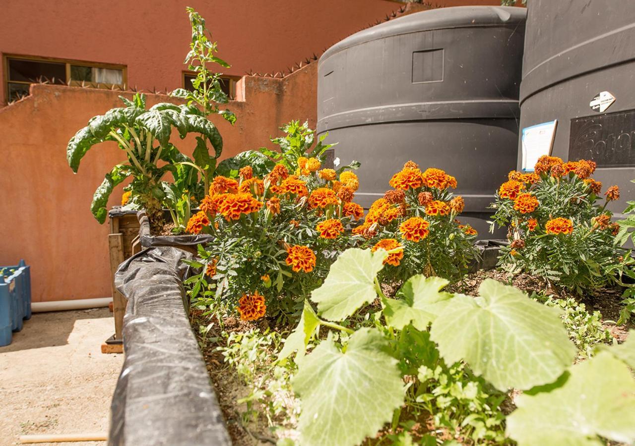 Casa Estrella De La Valenciana Hotel Boutique Guanajuato Exterior photo